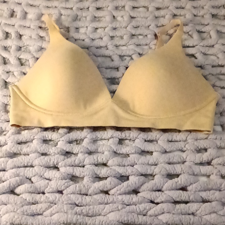 Sofia Vegara Bra